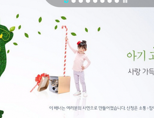 경기도 홈피 첫 도민 배너광고는 “아기고양이 분양”